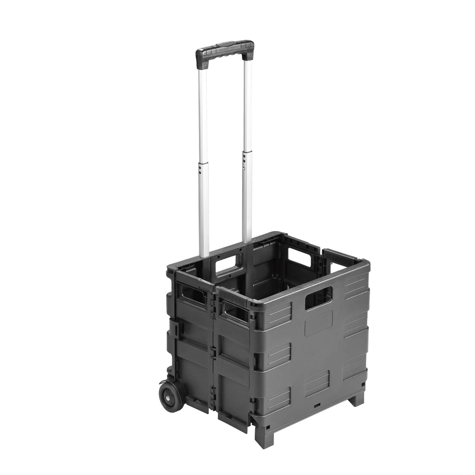FP BL 310