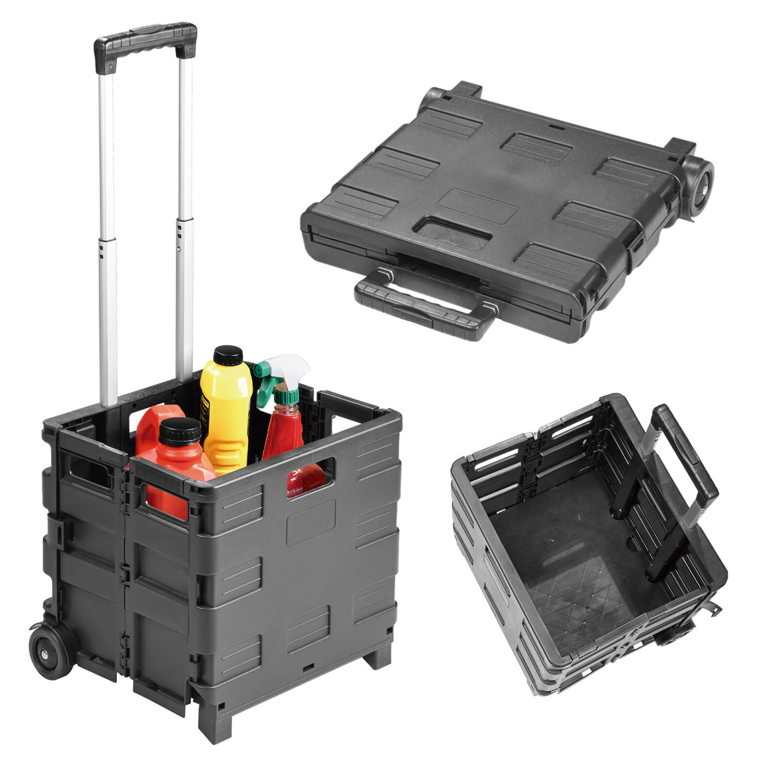 FP BL 310
