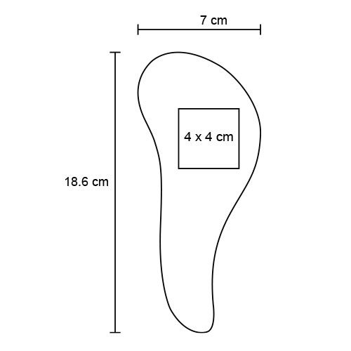FP CP 087