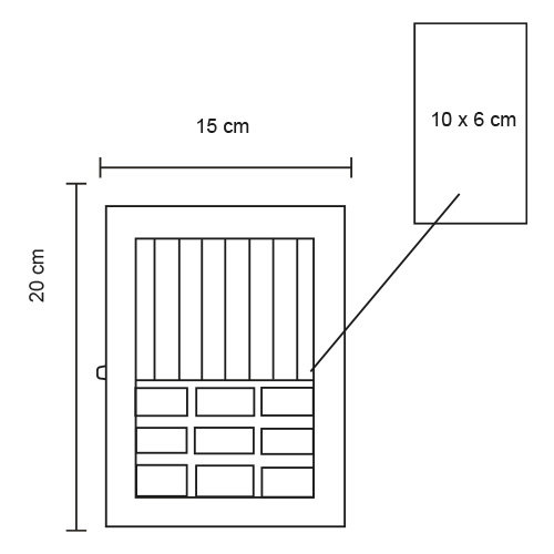 FP CP 118