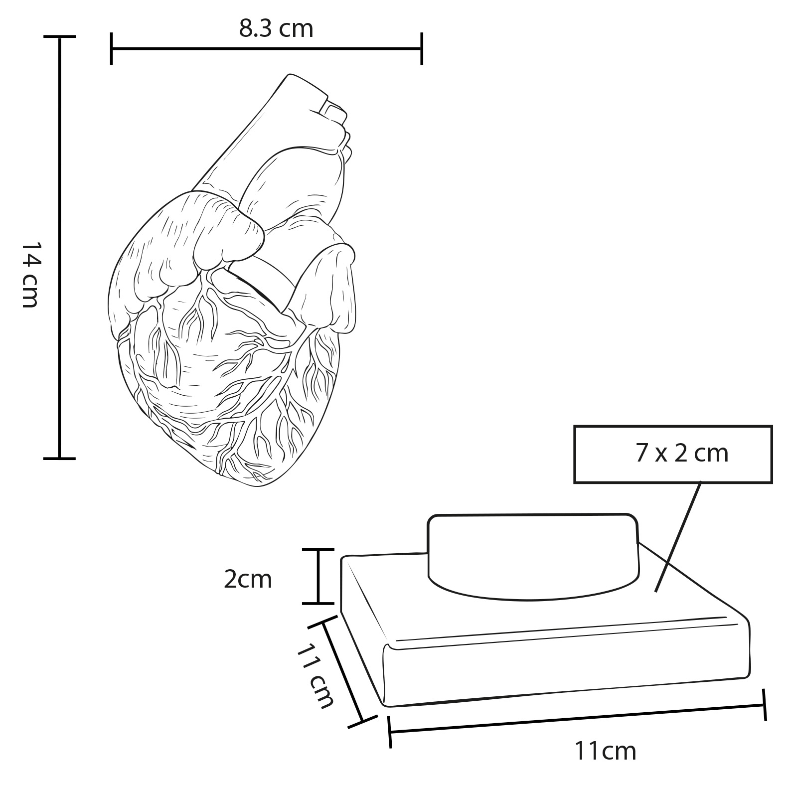 FP CP 154