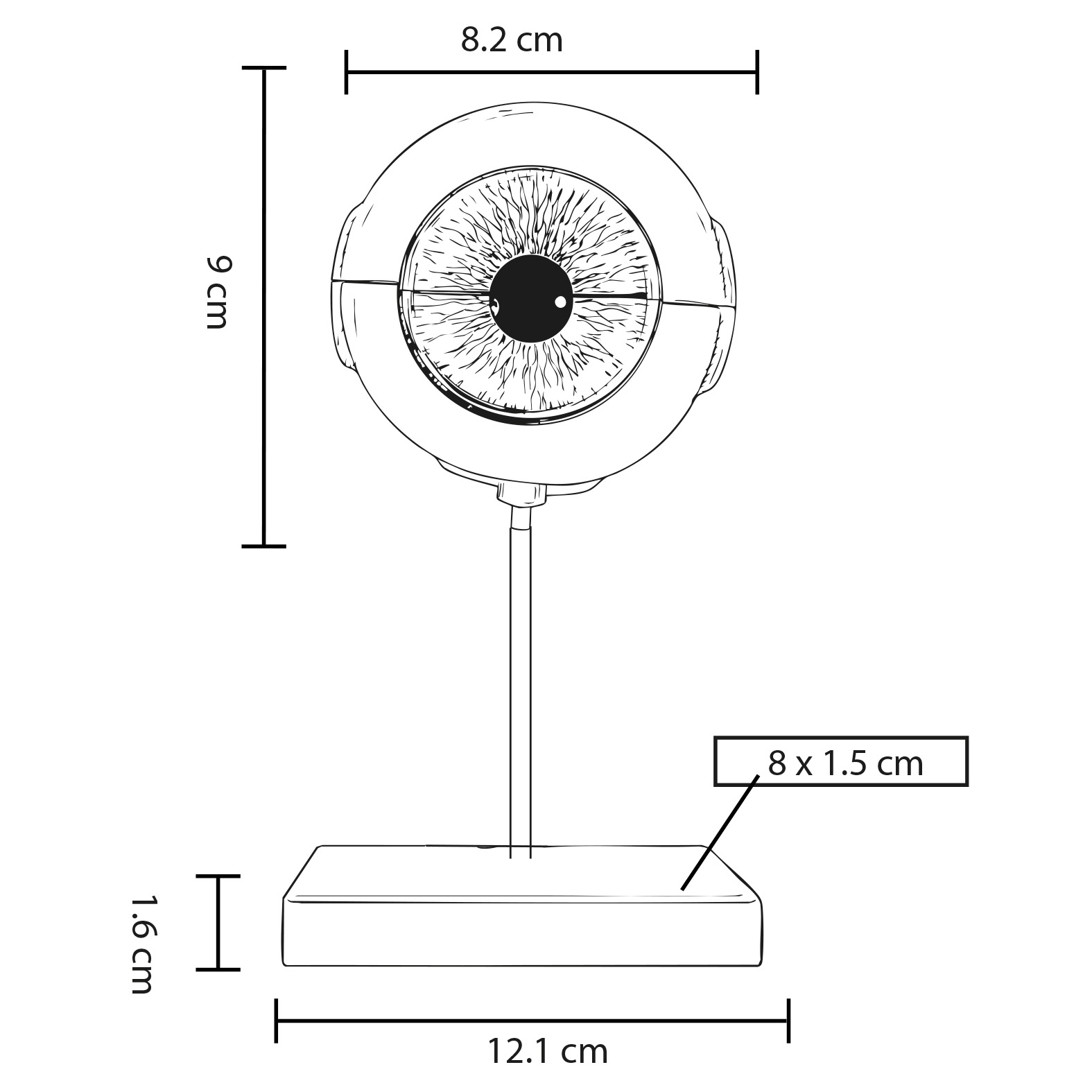 FP CP 156