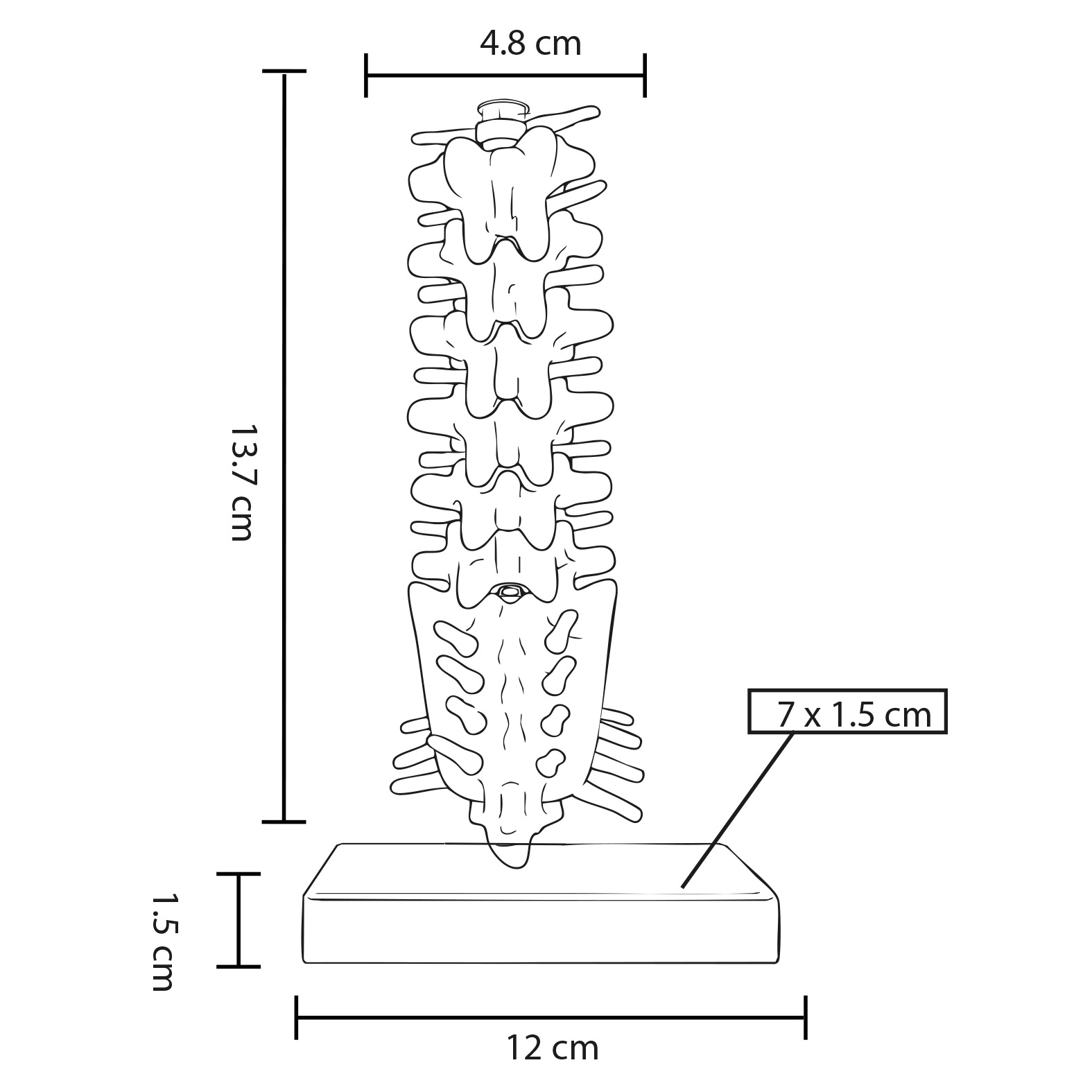 FP CP 161