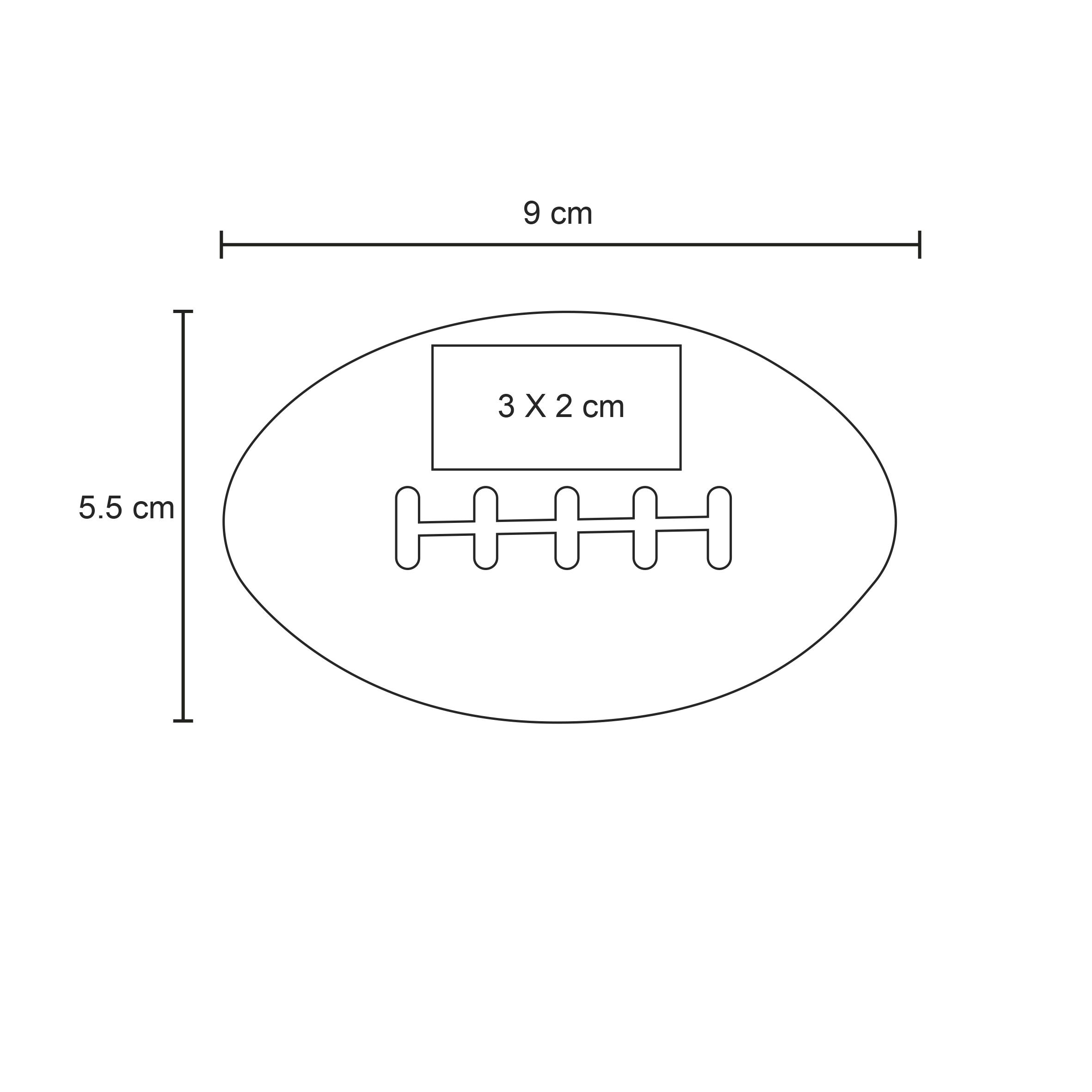 FP LP 08