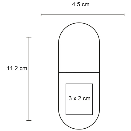 FP LP 21