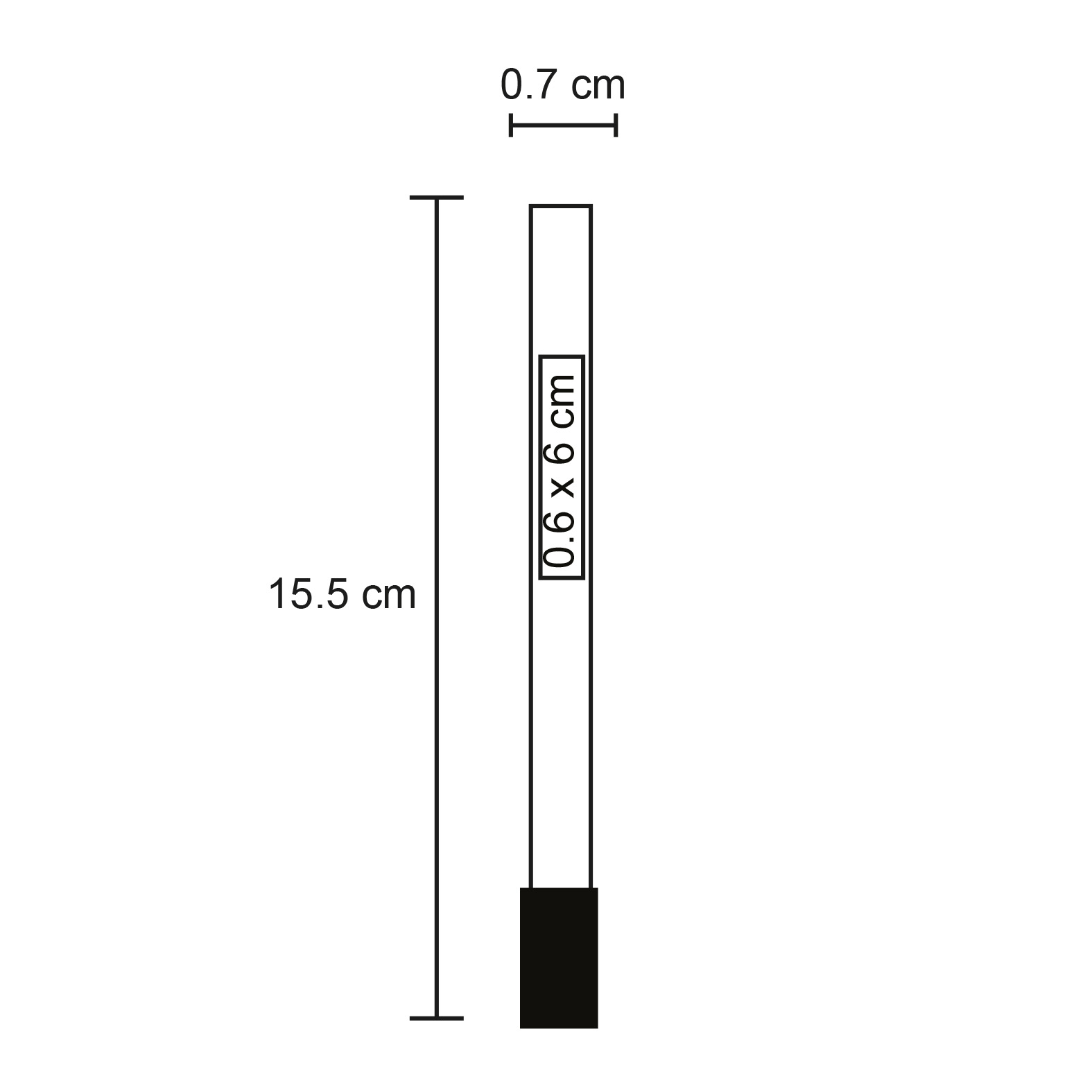 FP PE 004