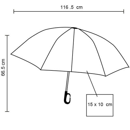 FP PM 21