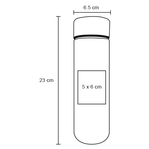 FP T 81