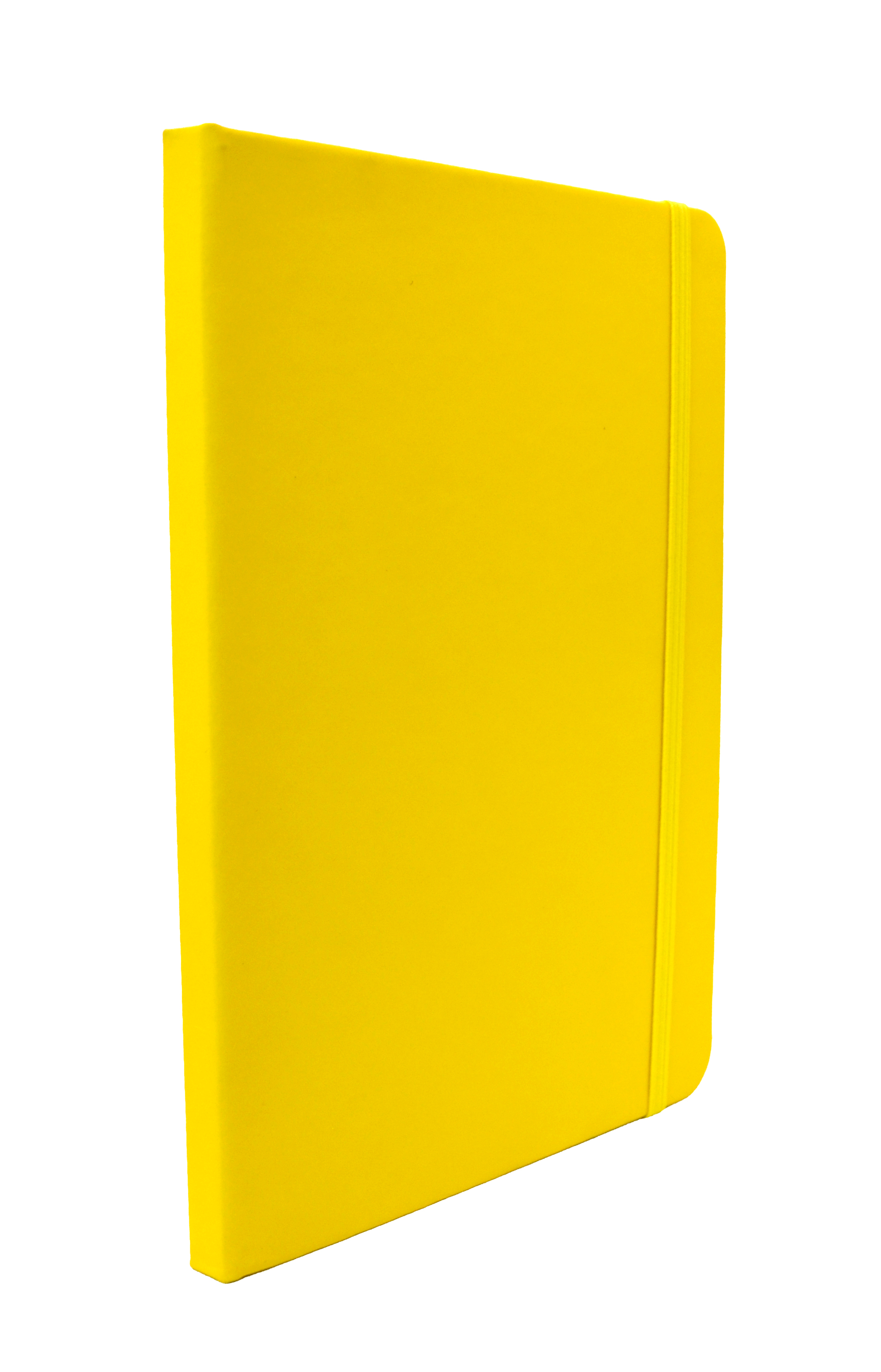 IL ESC 532