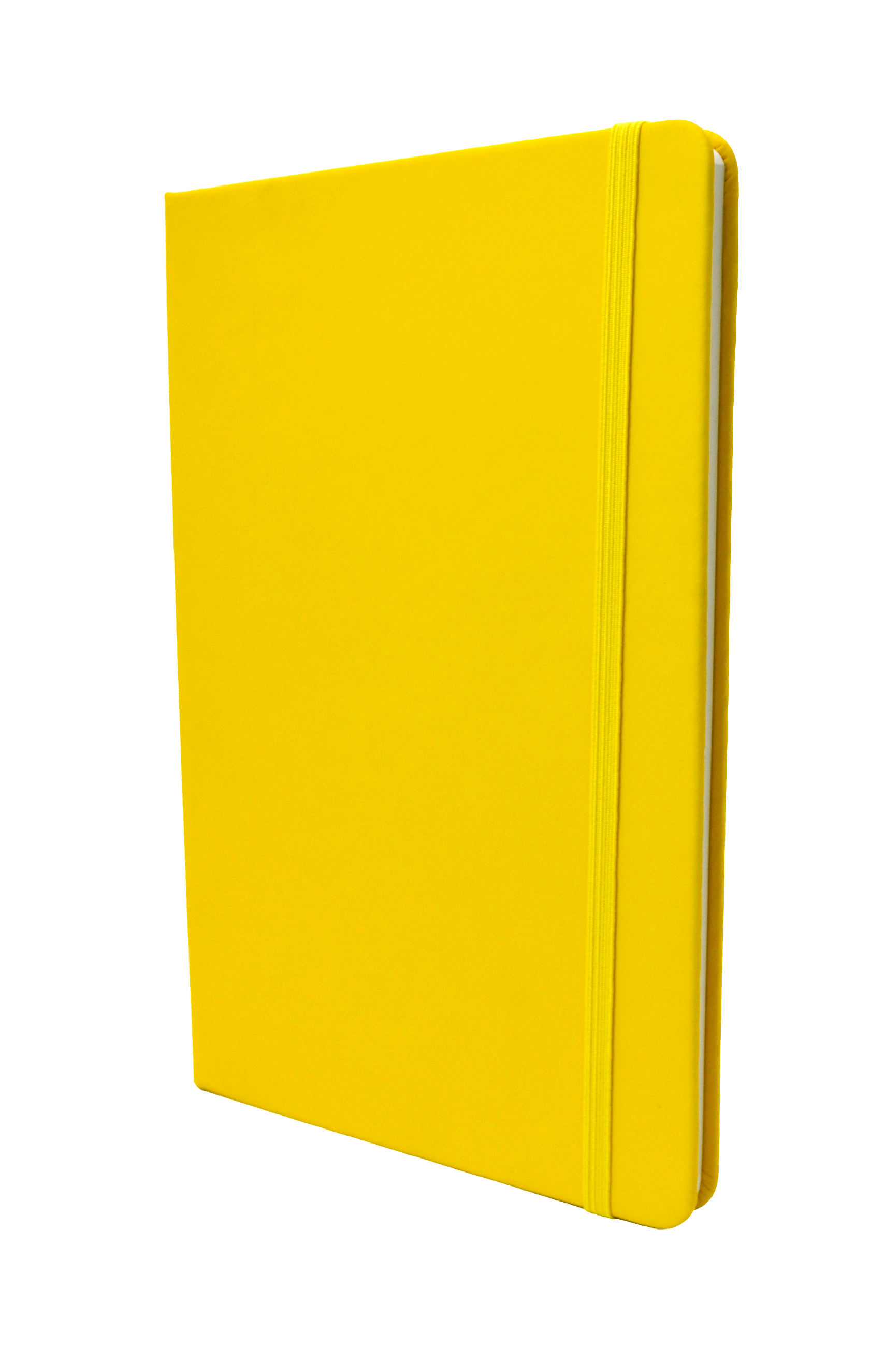 IL ESC 532