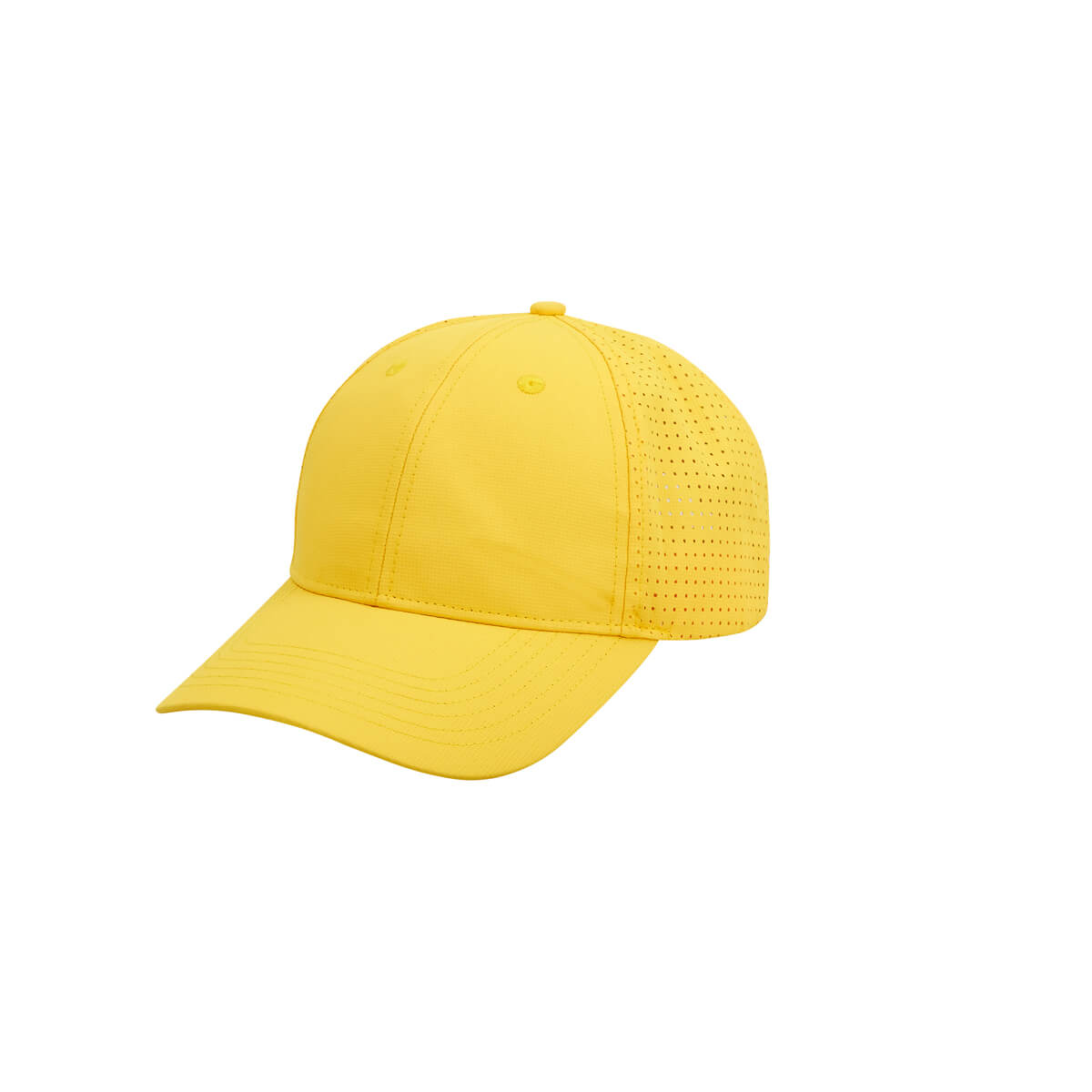 PM CAP 016