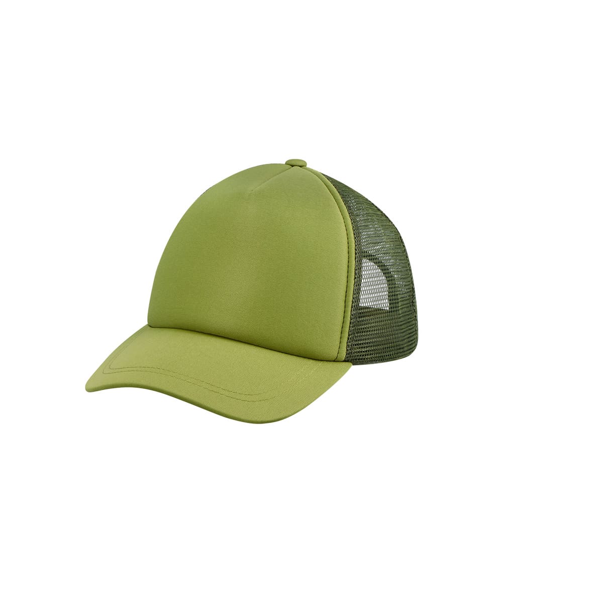 PM CAP 019