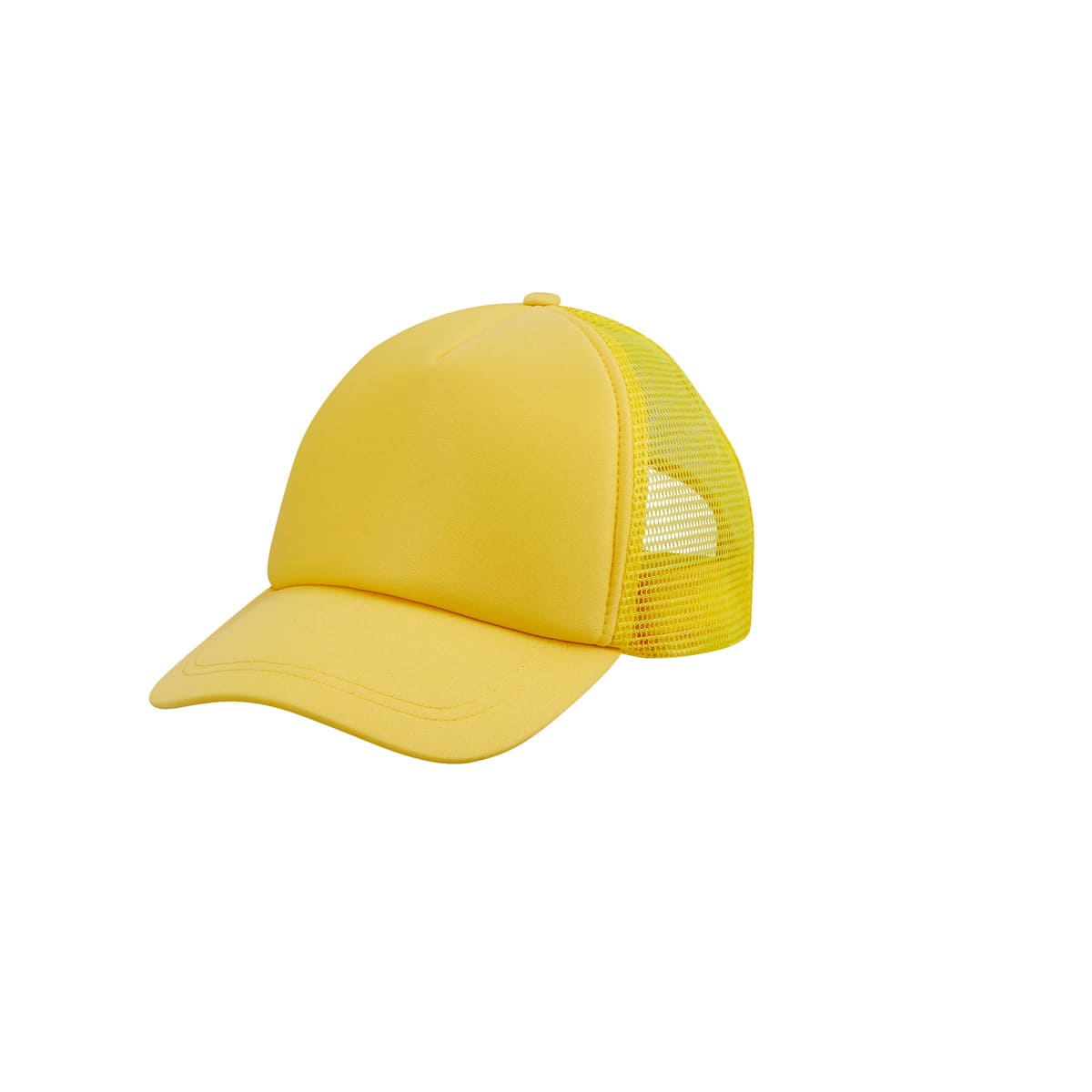 PM CAP 019