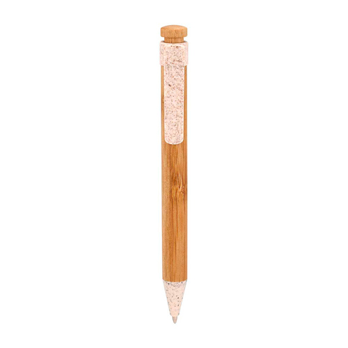 PM ECO 065