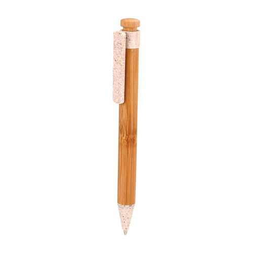 PM ECO 065