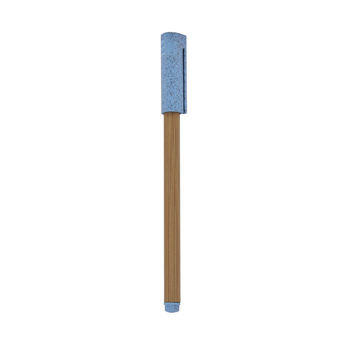 PM ECO 070