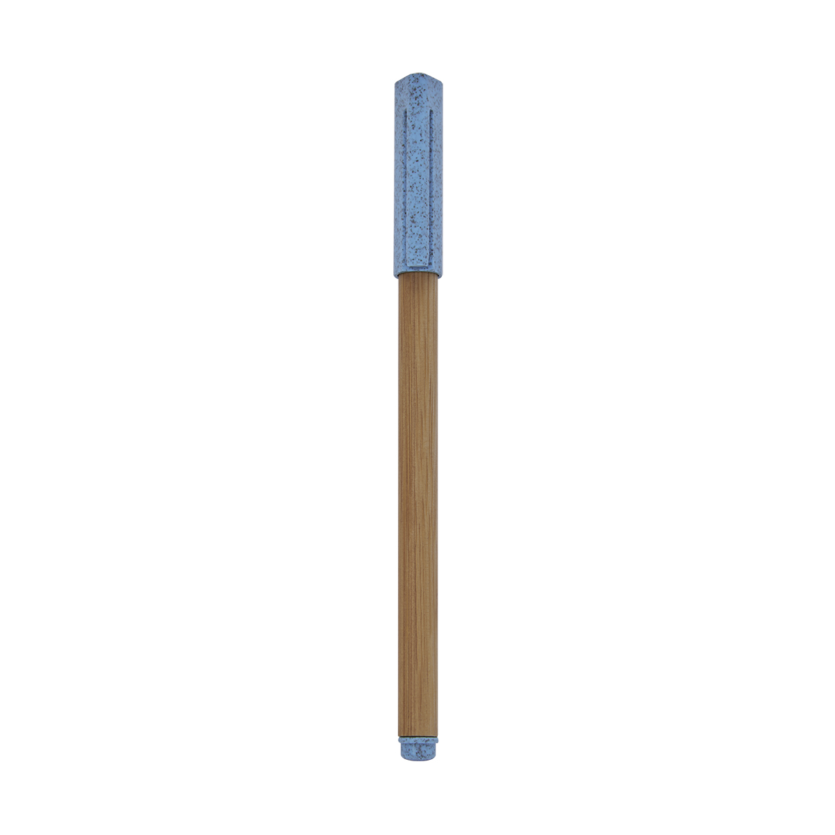 PM ECO 070