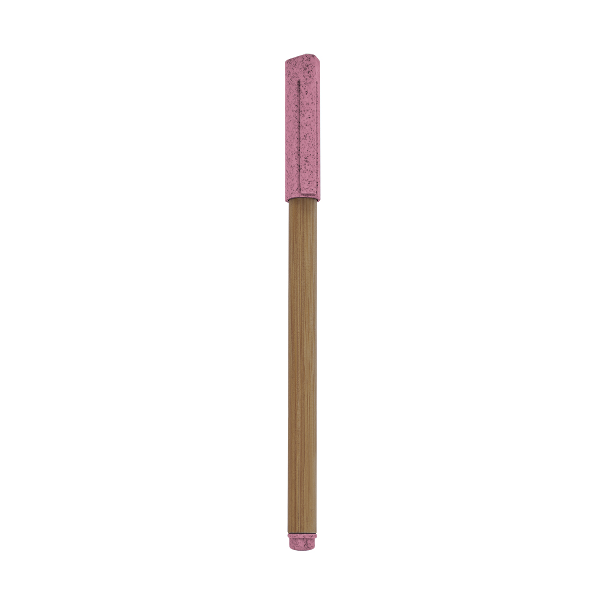 PM ECO 070