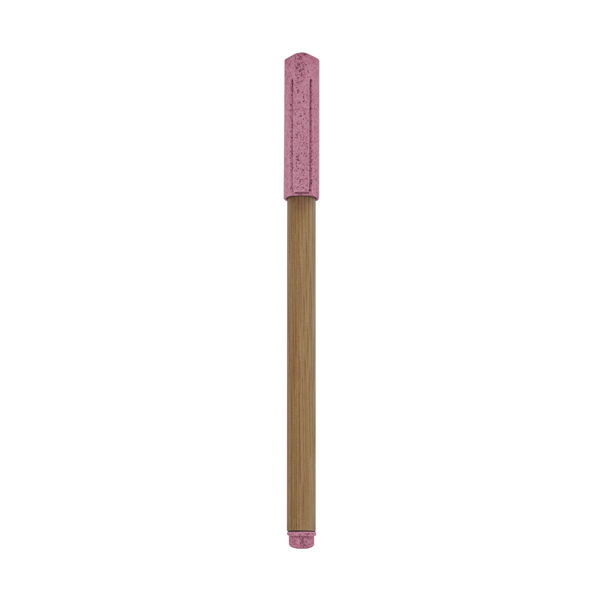 PM ECO 070