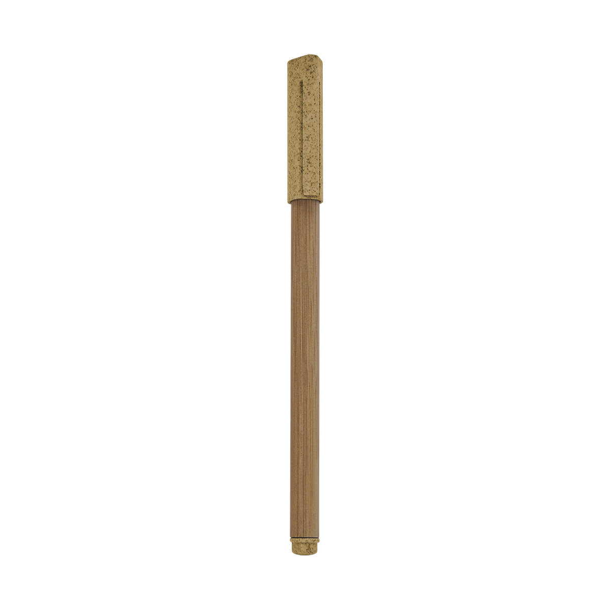 PM ECO 070