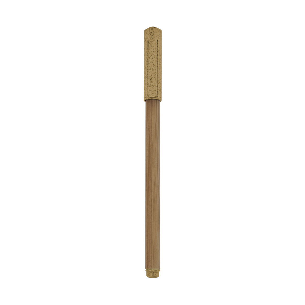 PM ECO 070