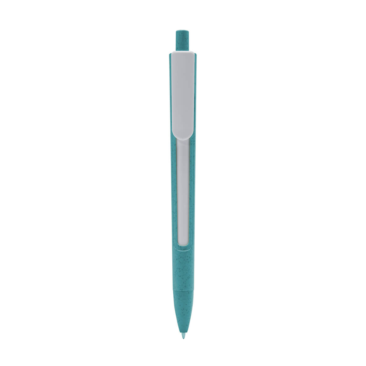 PM ECO 080