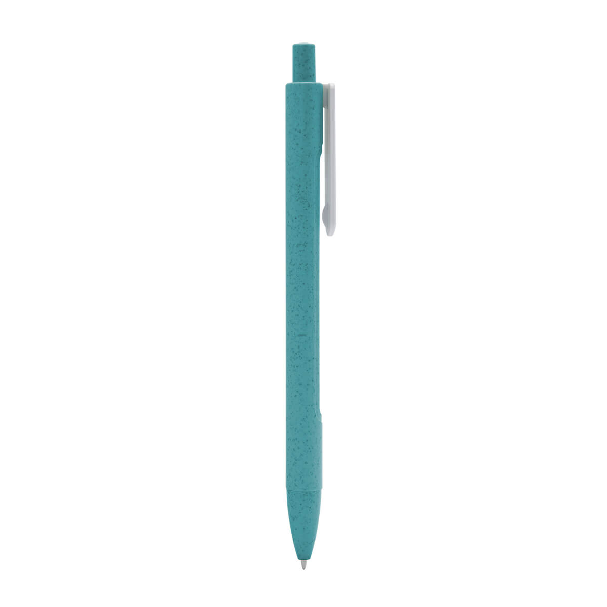 PM ECO 080