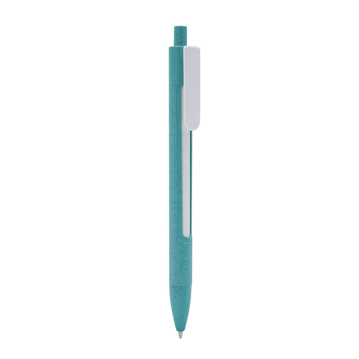 PM ECO 080