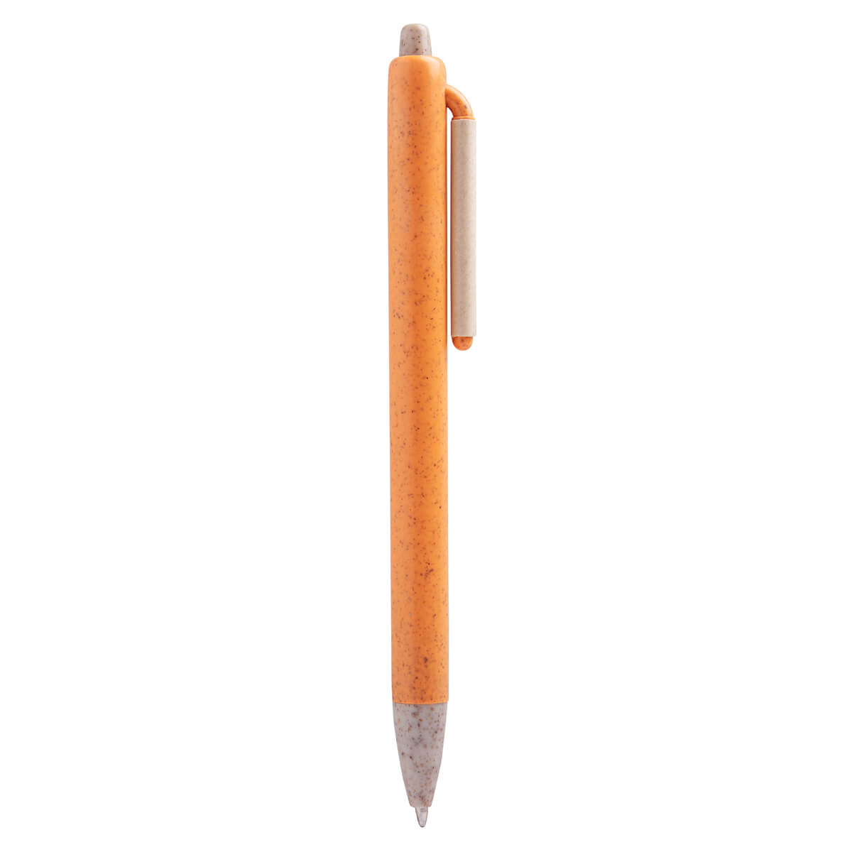 PM ECO 090