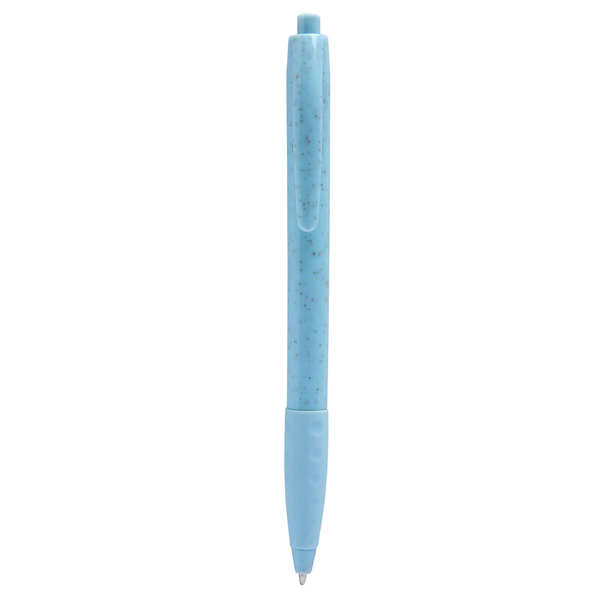 PM ECO 100