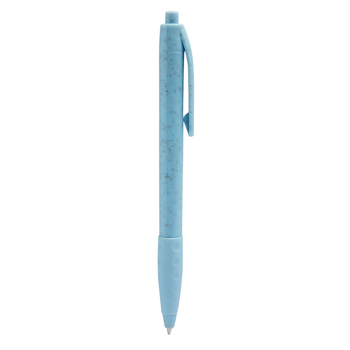 PM ECO 100