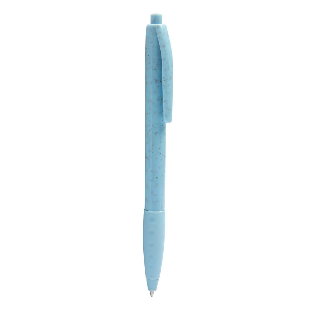 PM ECO 100