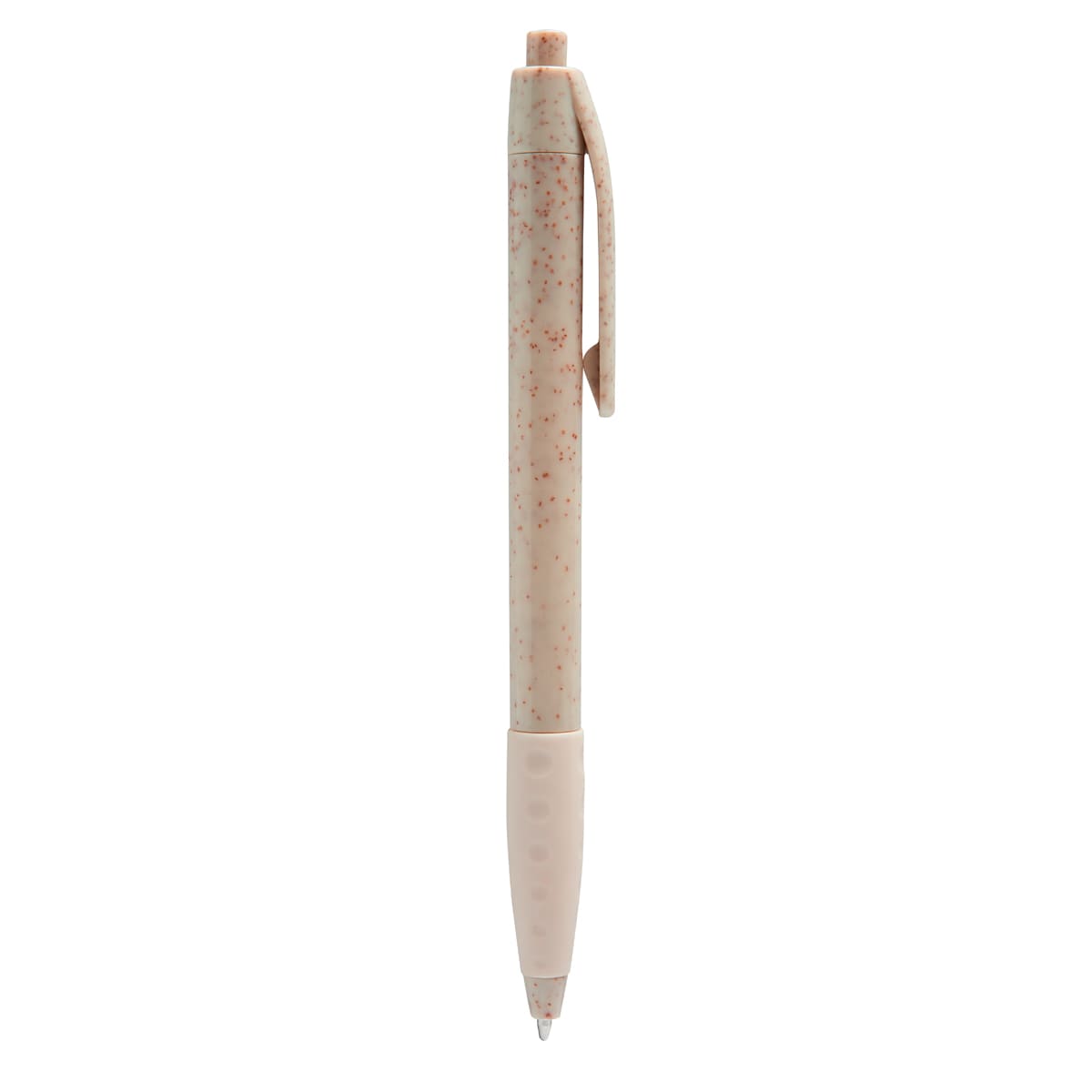 PM ECO 100