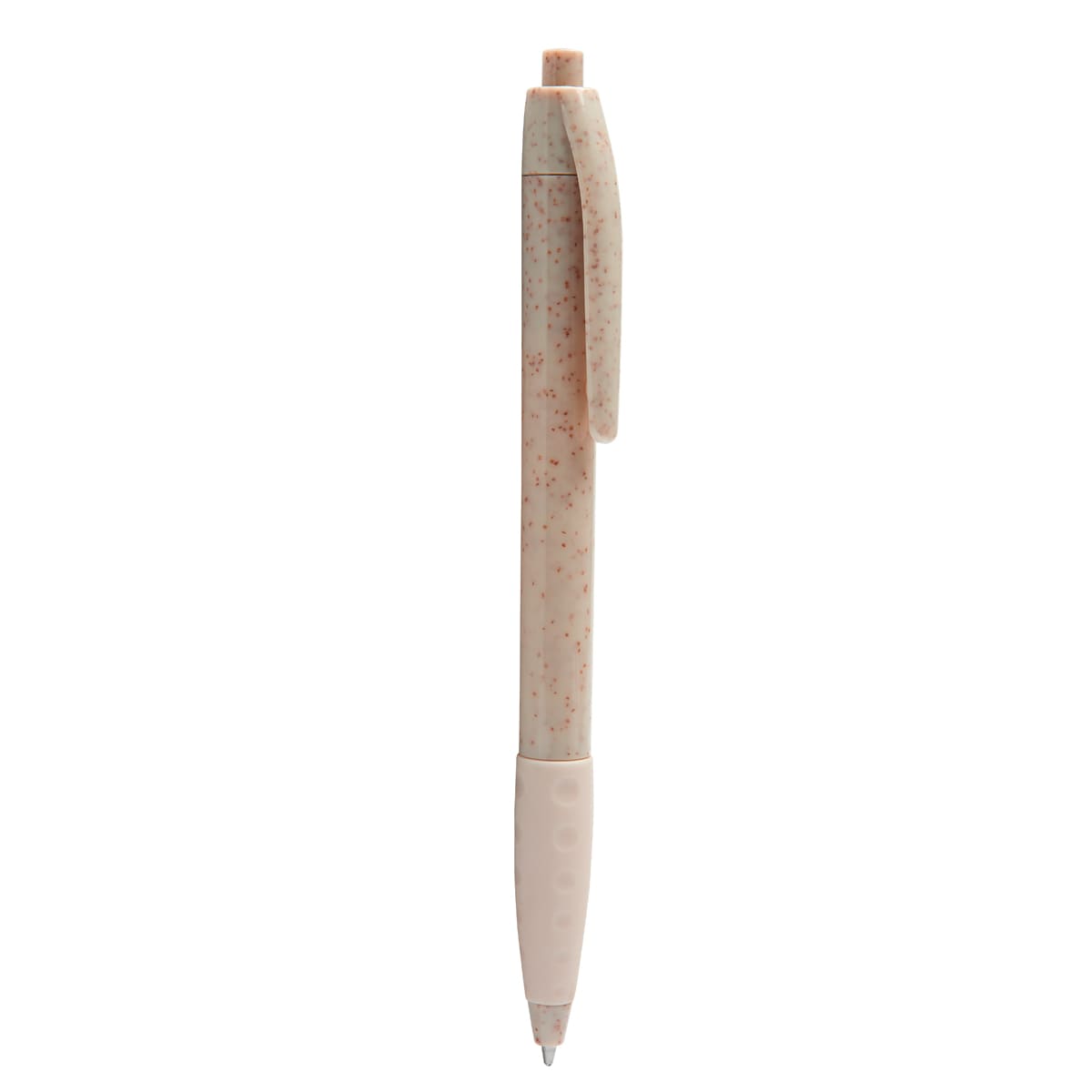 PM ECO 100