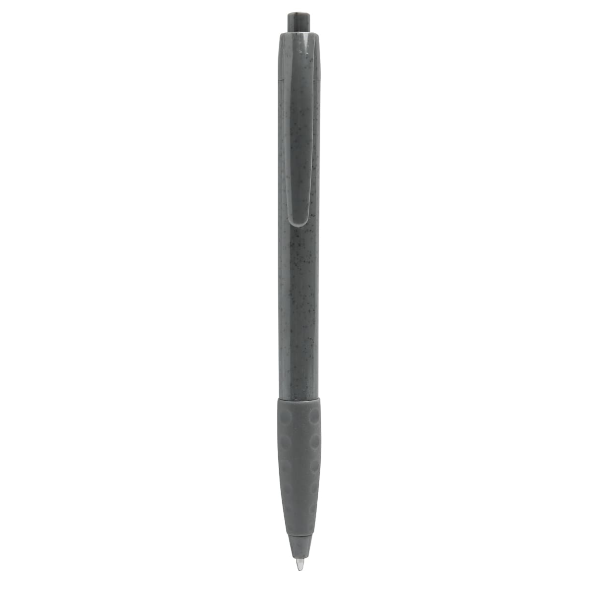 PM ECO 100