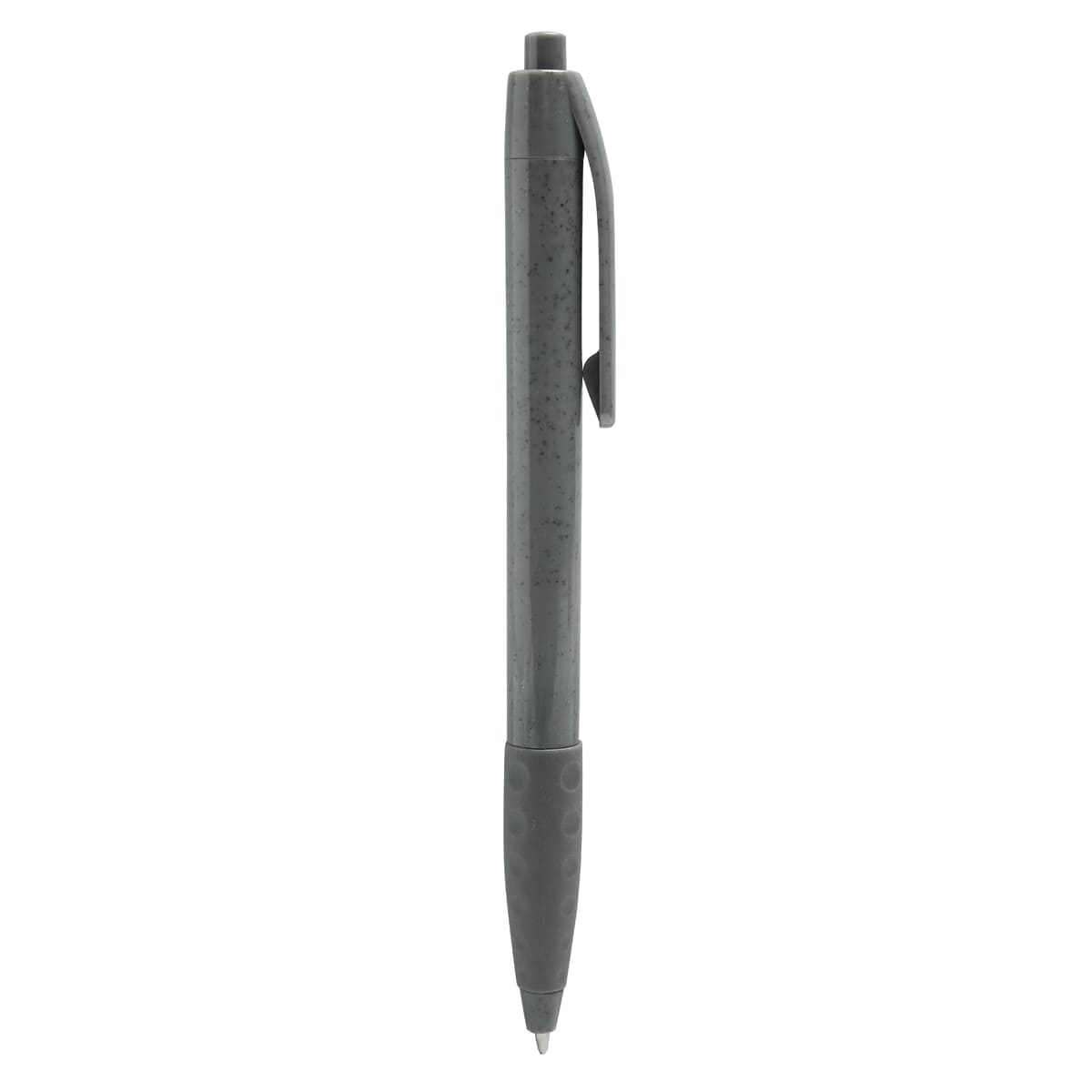 PM ECO 100