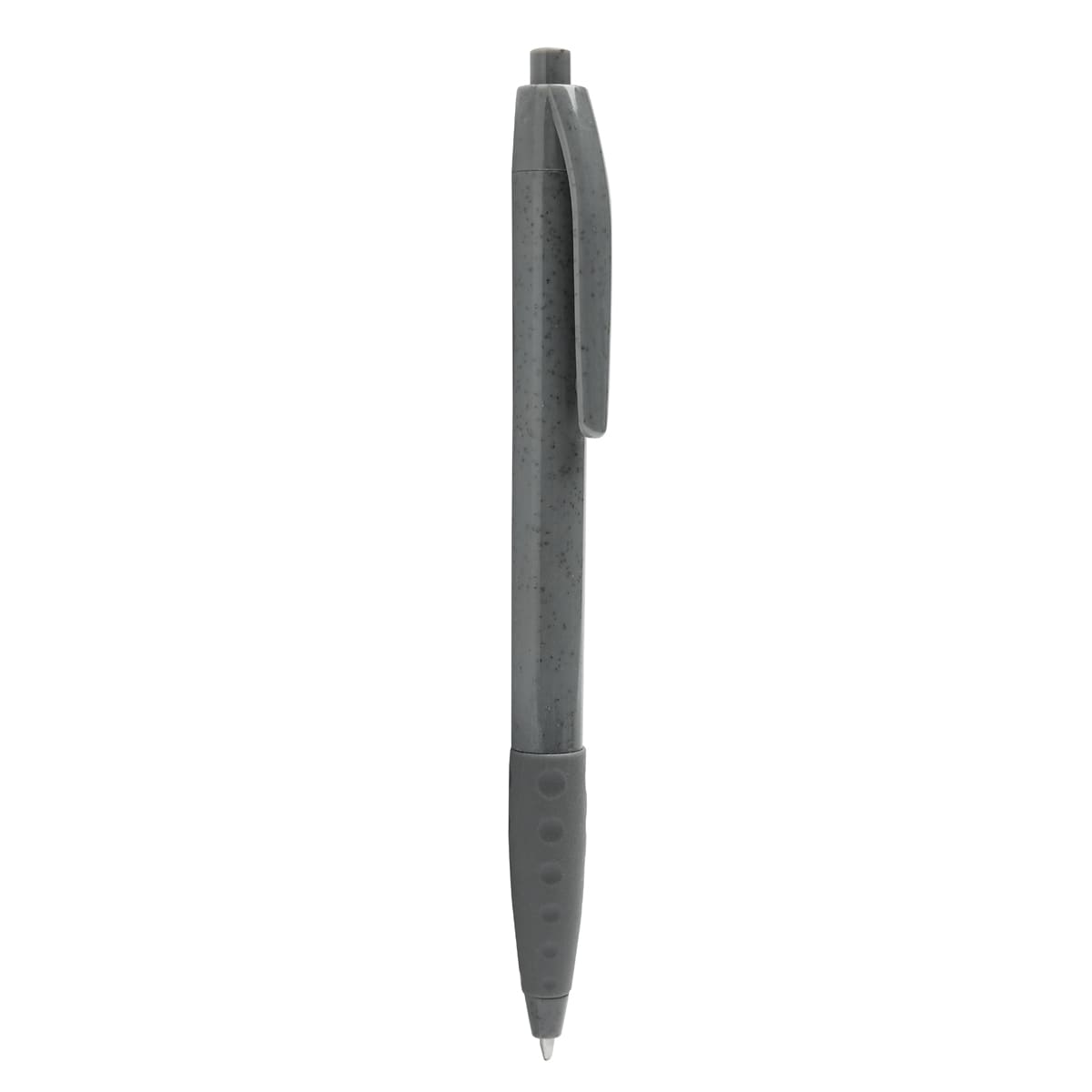 PM ECO 100