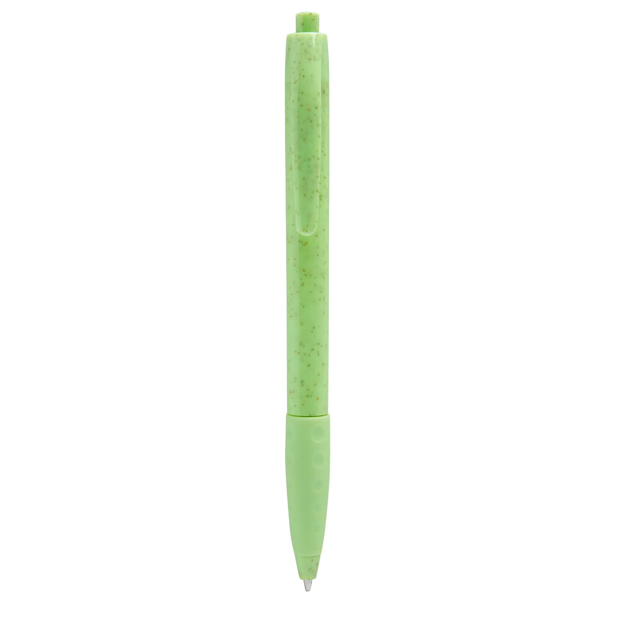 PM ECO 100