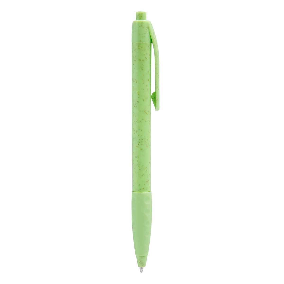 PM ECO 100