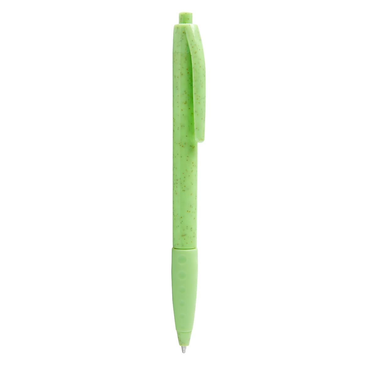 PM ECO 100