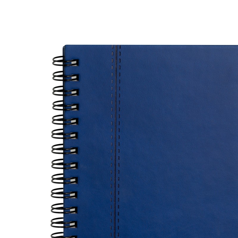 PM HL 010