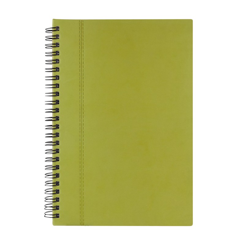 PM HL 010