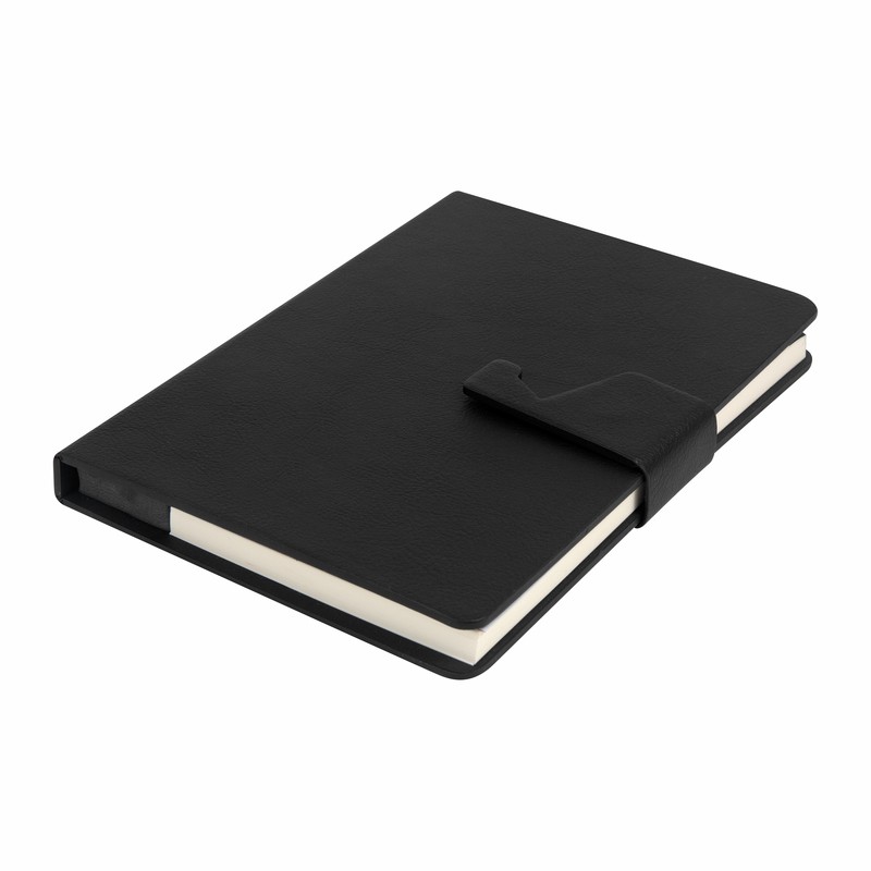 PM HL 1004