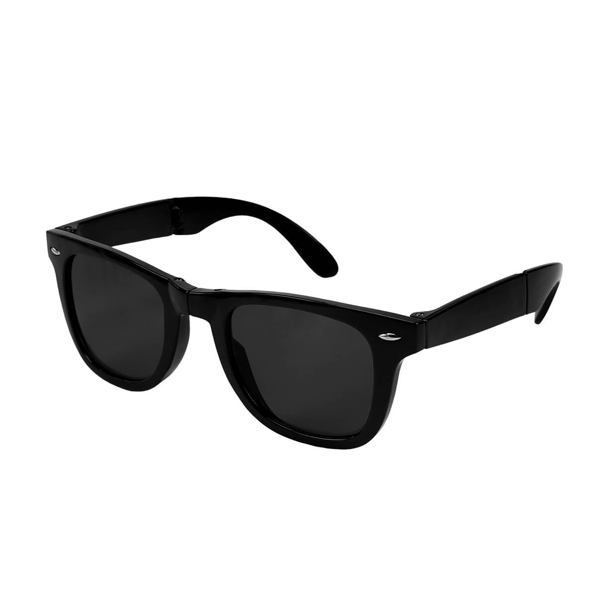 PM LEN 009