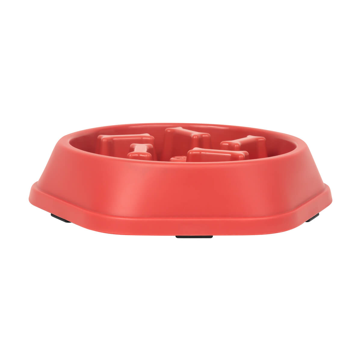 PM PET 010