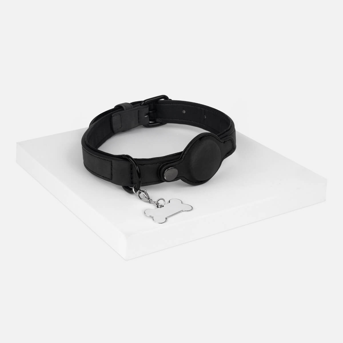 PM PET 011
