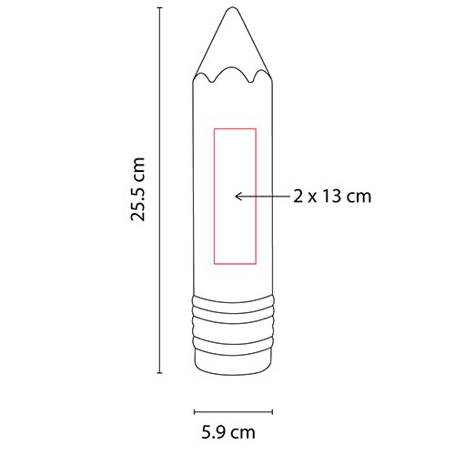 PM INF 013