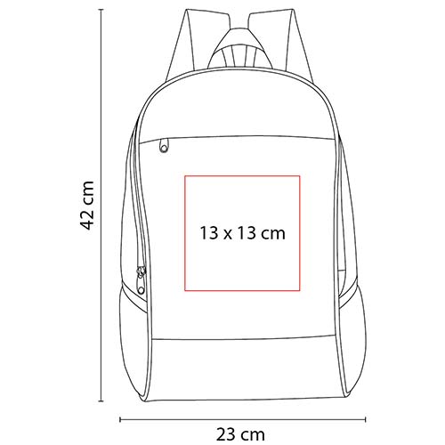 PM SIN 079