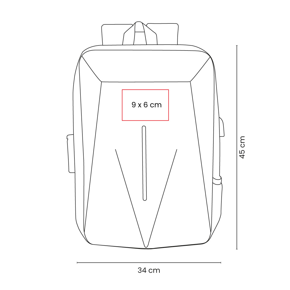 PM SIN 924